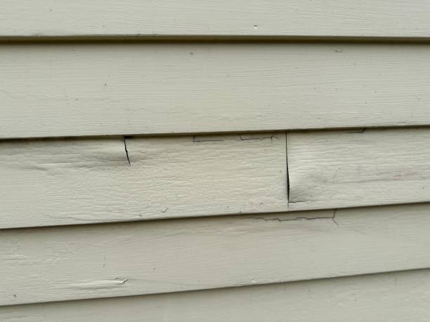 Best Same-Day Junk Removal Services  in Donald, OR